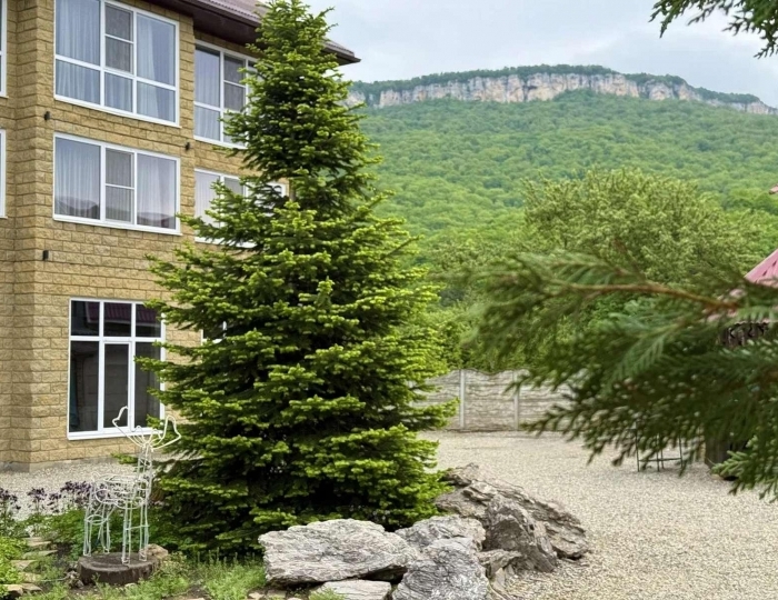 Гостевой дом «Дом кролика» Даховская