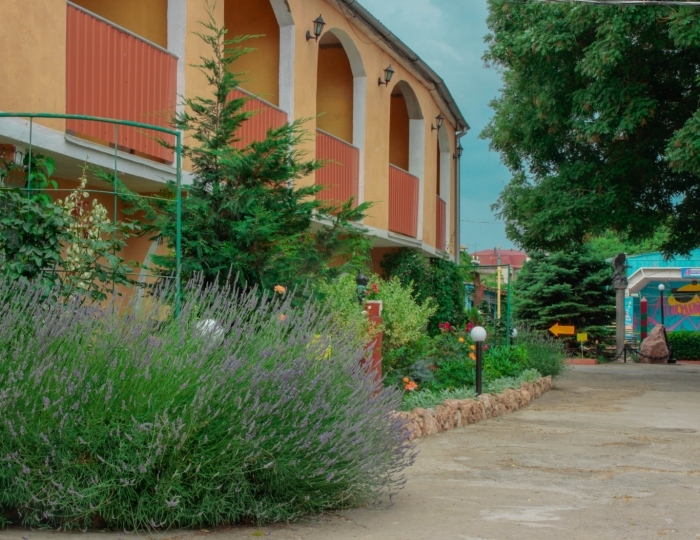 Пансионат «Авангард» Николаевка