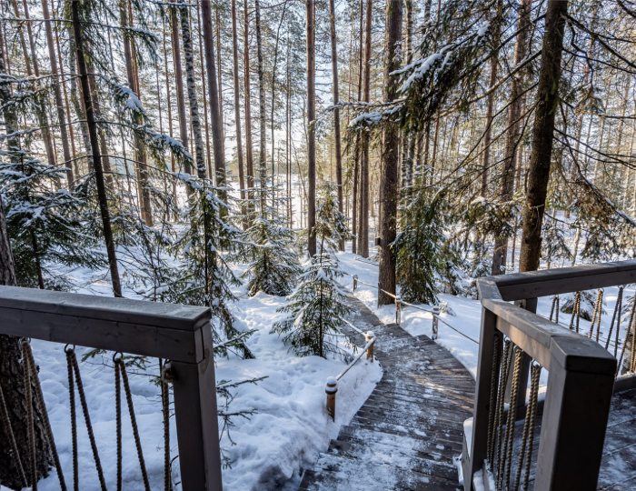 Лодж с видом на озеро - Отель «WE LODGE» Санкт-Петербург
