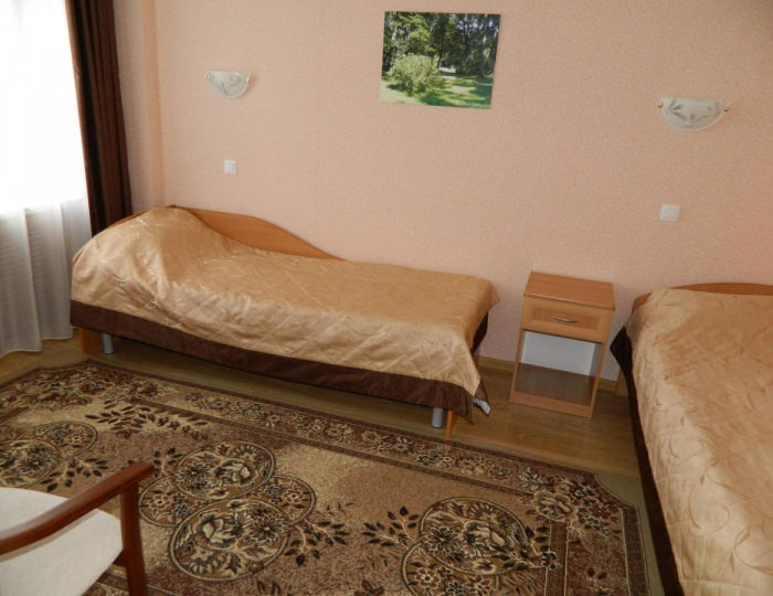 Высшей категории Люкс с двумя односпальными кроватями - Отель «Салют» Орел