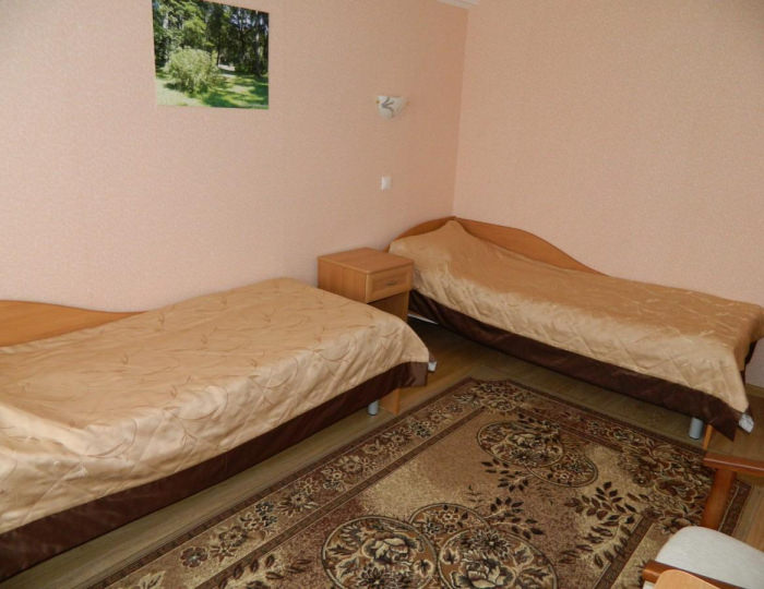 Высшей категории Люкс с двумя односпальными кроватями - Отель «Салют» Орел