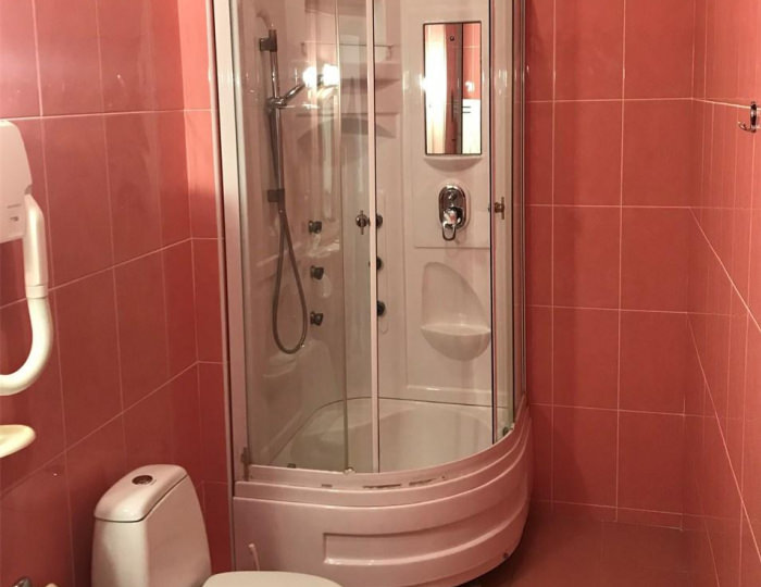 Номер стандарт с 1 двуспальной кроватью - Гостиница «Орел»