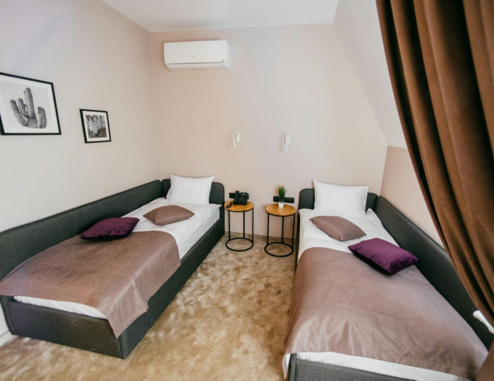 Номер делюкс комфорт с 2 односпальными кроватями (с завтраком) - Отель Loft-hotel / Лофт Орел