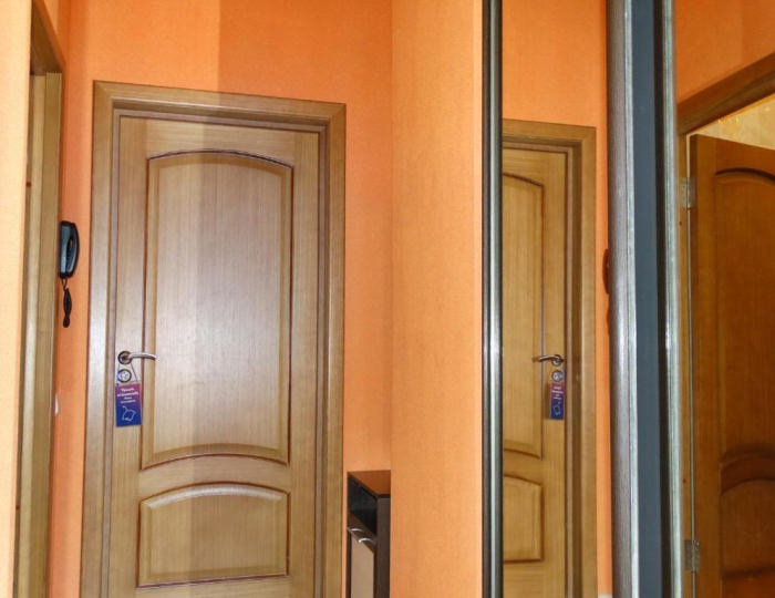 Номер делюкс Тургеневский (с завтраком) - Мини-отель «Наутилус 57» Орел