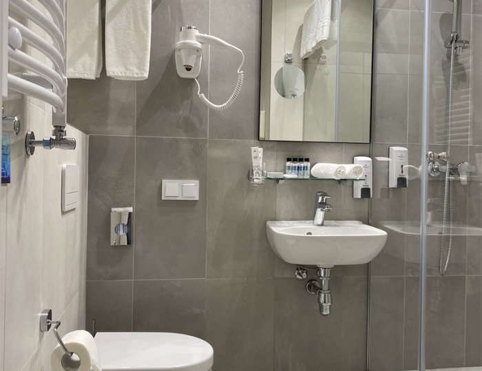 Standard 2-местный - Отель Kristall Hotel & SPA / Кристалл и СПА Светлогорск