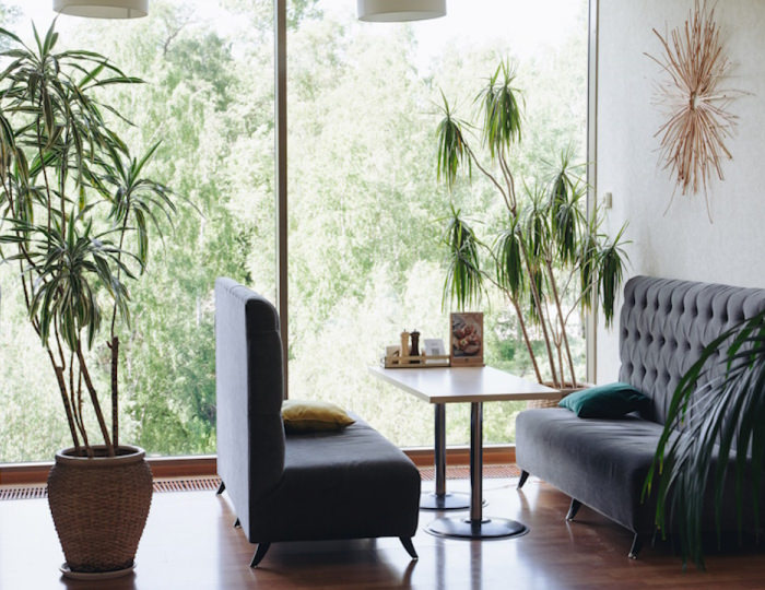 Рестораны и бары - Спа-отель «Карелия»