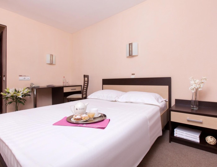 Номер стандарт с 1 двуспальной кроватью - Отель Marins Park Hotel Nizhny Novgorod / Маринс Парк Нижний Новгород