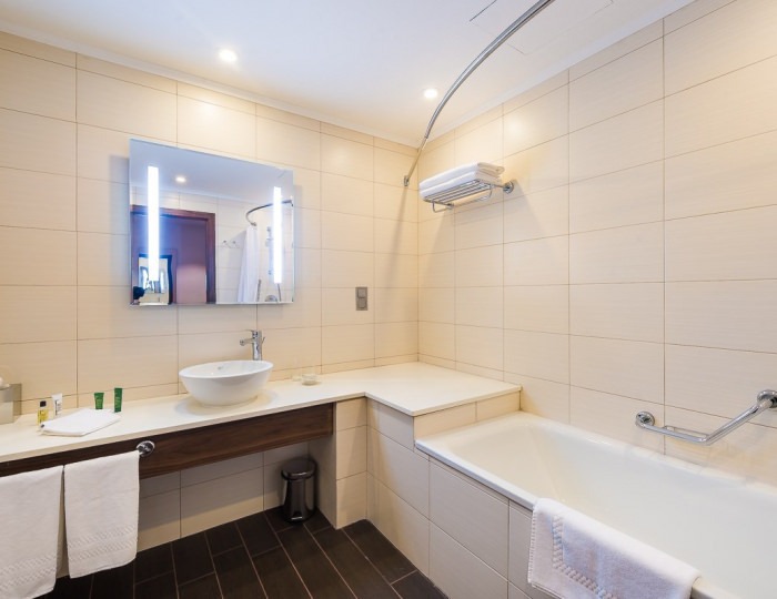 Полулюкс 2-местный - Отель Hilton Garden Inn Krasnoyarsk / Хилтон Гарден Инн Красноярск