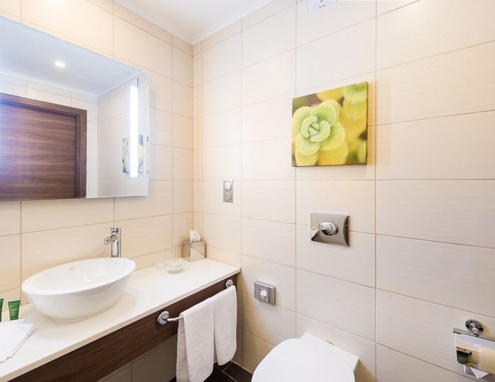 Стандарт 2-местный King - Отель Hilton Garden Inn Krasnoyarsk / Хилтон Гарден Инн Красноярск