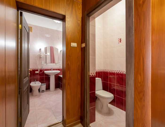 Люкс 2-комнатный улучшенный (корп 2) - Санаторий «Подмосковье УДП РФ»