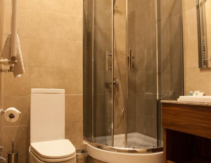 Standard 1-местный - Отель Astoria Hotel / Астория Тбилиси
