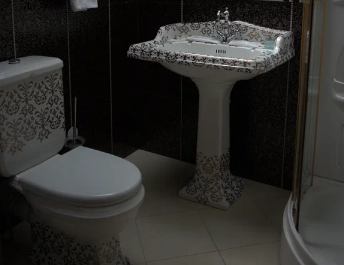 Делюкс 2 местный 1 комнатный Делюкс №10 - Отель Dombay Palace / Домбай Пэлас