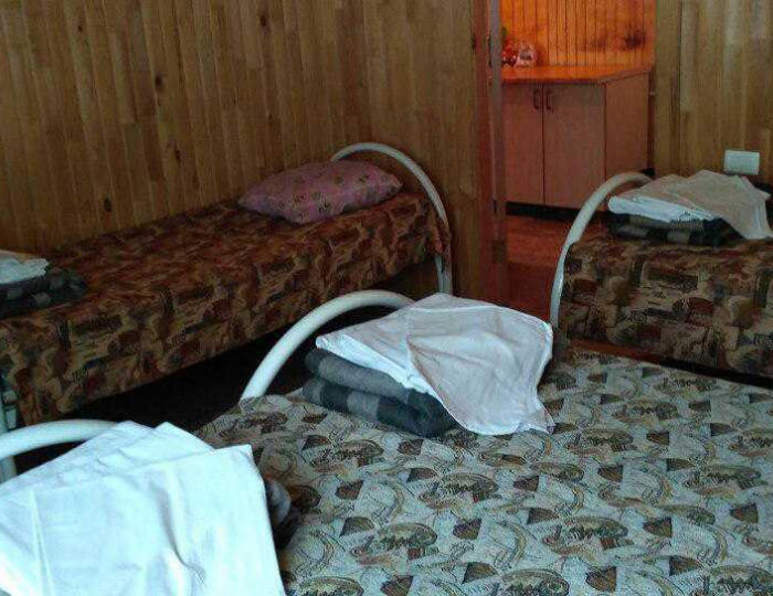 Номер стандарт с 4 односпальными кроватями - База отдыха «Пансионат Тургояк» Миасс