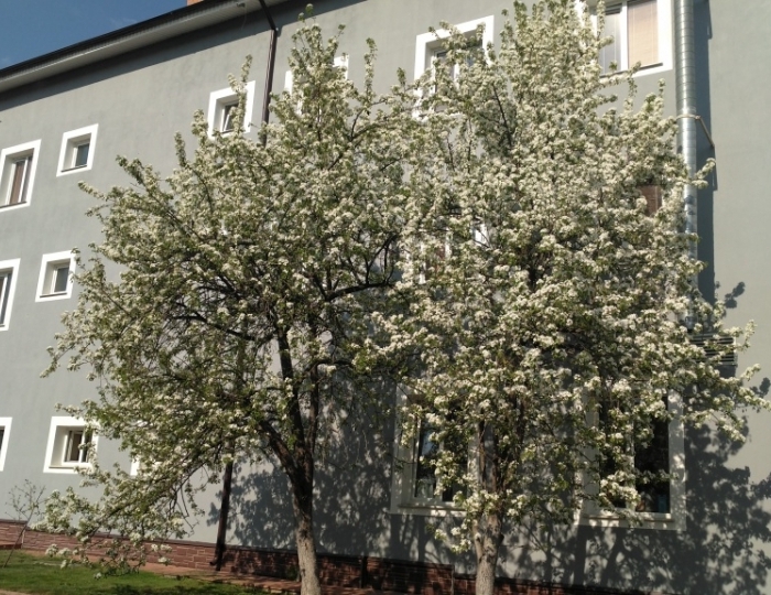 Отель «На Заречной» Яхрома