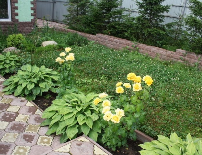 Мини-отель «XL Отель» Яхрома