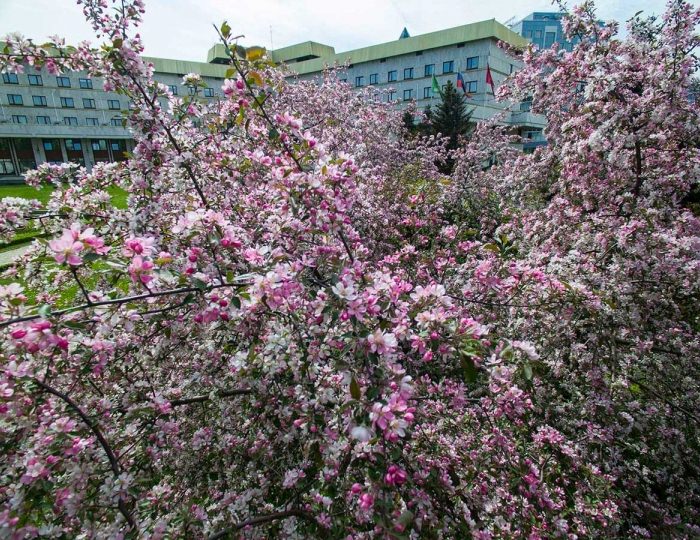Гостиница «Даниловская»