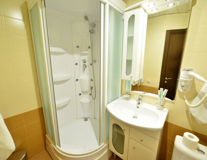 Стандарт 1-местный корпус №1 с видом на пруд - Санаторий «Вороново»