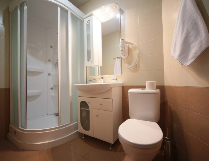 Стандарт 2-местный 1-комнатный корпус № 1 с видом на лес - Санаторий «Вороново»