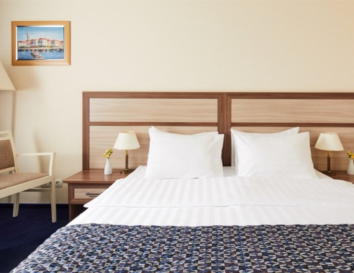 Стандарт DBL - Гостиница «Измайлово Дельта»