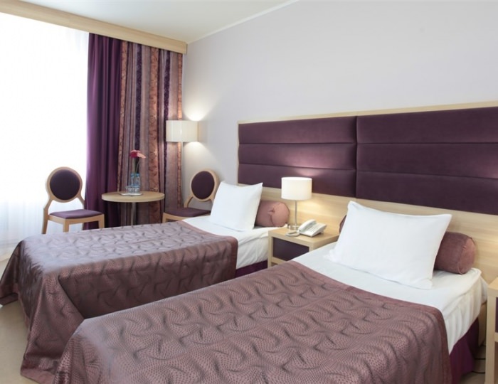 Бизнес класс премиум TWIN - Гостиница «Измайлово Дельта»