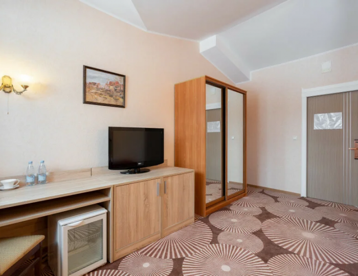 Стандарт 2-местный - Загородный отель Belveder Hotel & Spa / Белведер Петергоф