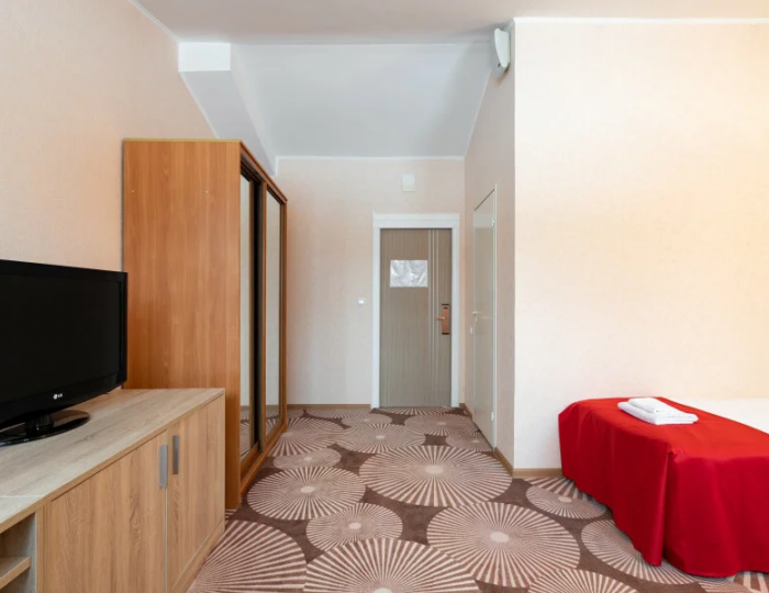 Стандарт 2-местный - Загородный отель Belveder Hotel & Spa / Белведер Петергоф