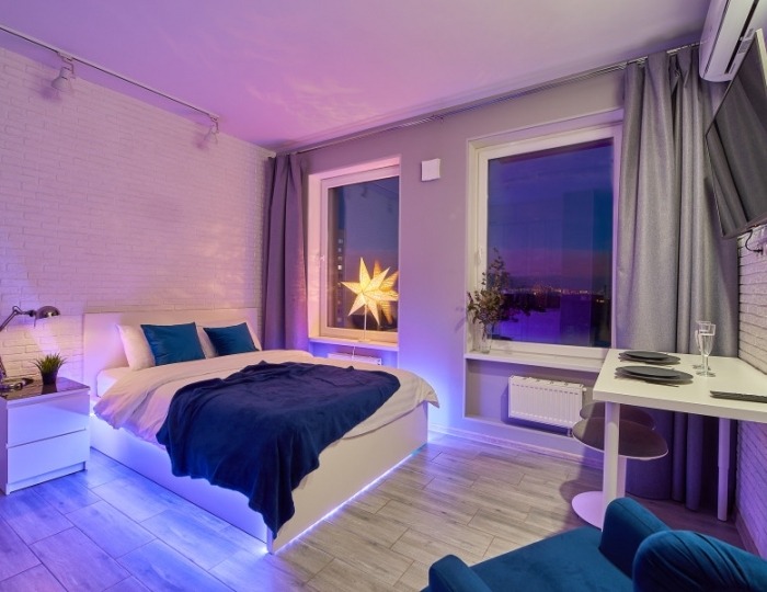 Улучшенный 2-местный  loft 450 - Гостиница Sky Garden / Скай Гарден Москва