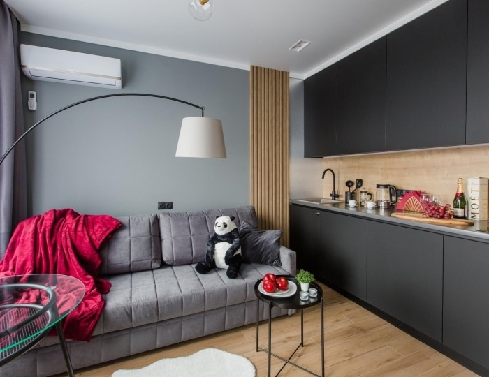 1-комнатные апартаменты улучшенные Loft 448 - Гостиница Sky Garden / Скай Гарден Москва
